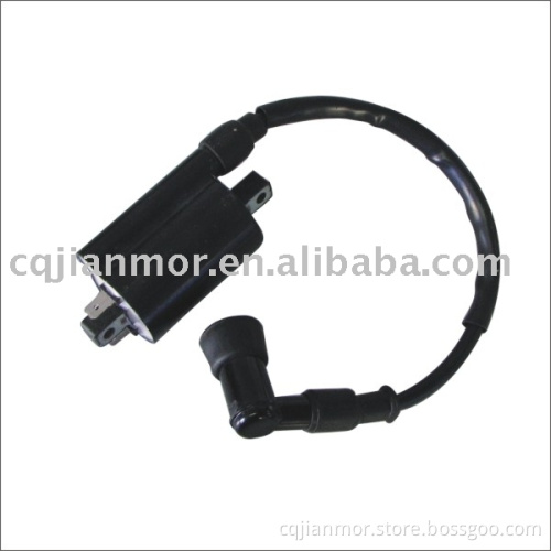 XV250 Ignition coil